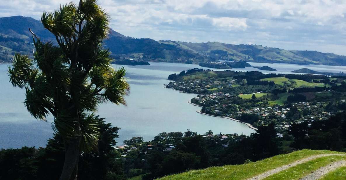 Dunedin: City Highlights and Otago Peninsula Scenery - Frequently Asked Questions