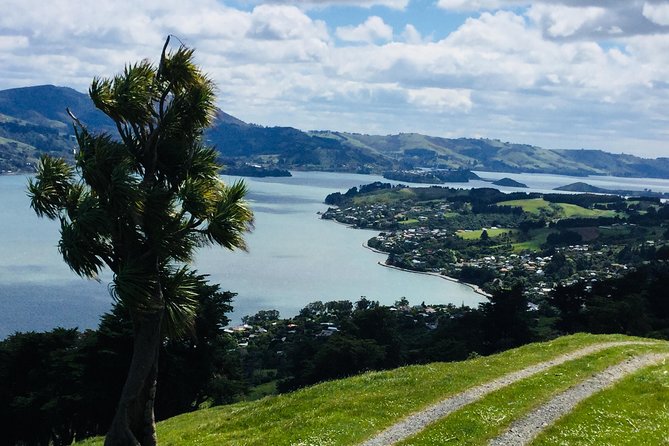 Dunedin City Highlights, Otago Peninsula Scenery & a Guided Penguin Reserve Tour - Participant Requirements