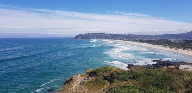 Dunedin City & Otago Peninsula Scenery Day Tour - Key Points