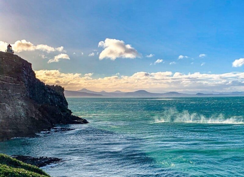 Dunedin City & Otago Peninsula Scenery Day Tour - FAQ