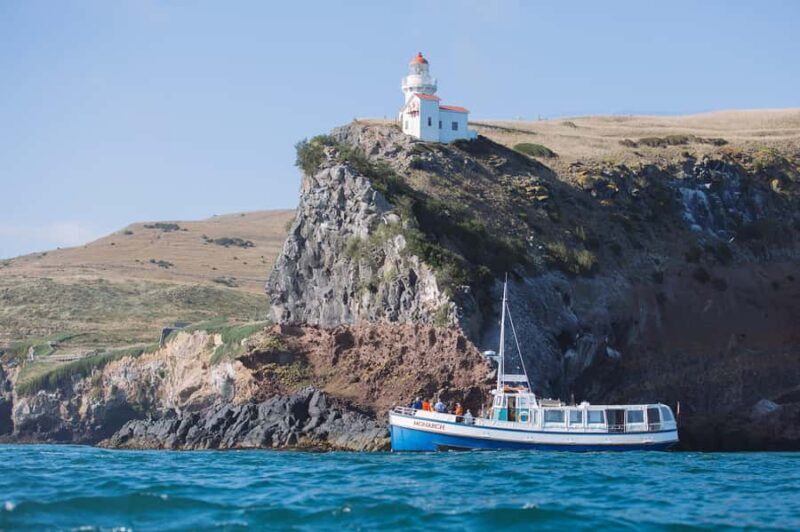 Dunedin: Monarch - One Hour Wildlife Cruise - FAQ