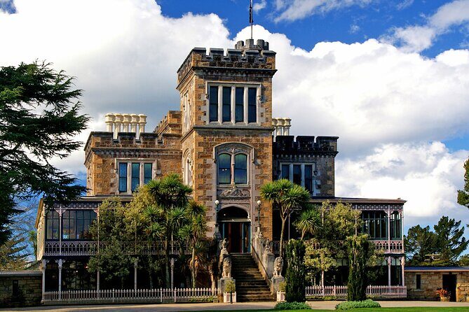 Dunedin Nature and City Tour with Larnach Castle included - What’s Included and What to Expect