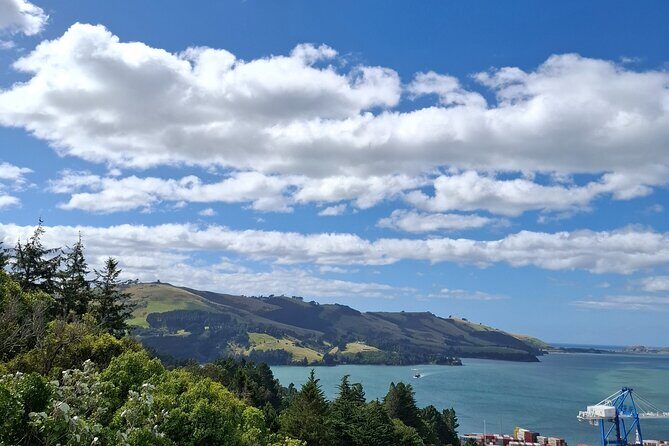 Dunedin & North Otago Scenic & Wildlife Tour - An In-Depth Look at the Dunedin & North Otago Scenic & Wildlife Tour