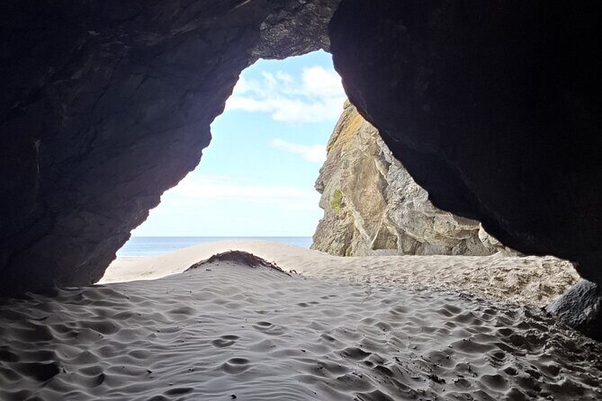 Dunedin & North Otago Scenic & Wildlife Tour - FAQ