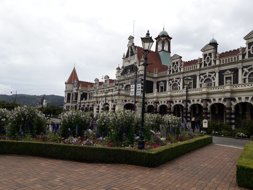 Dunedin: Otago Peninsula With Guided Penguin Tour - Customer Reviews