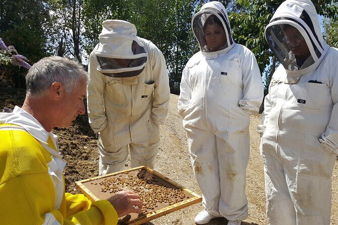 Dunedin Private Tour: City Sights & Otago Peninsula - Key Points