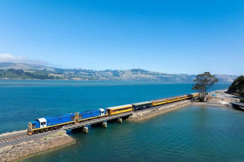 Dunedin: Scenic Railway Tour of Otago's Coastline - An Introduction to the Scenic Railway Journey
