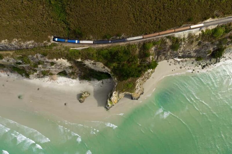 Dunedin: Scenic Railway Tour of Otago's Coastline - What Travelers Say