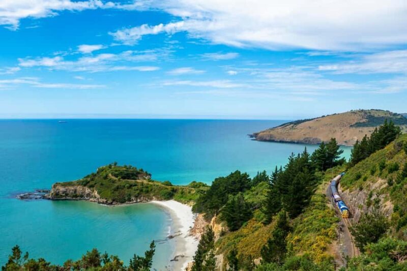 Dunedin: Scenic Railway Tour of Otago's Coastline - FAQ