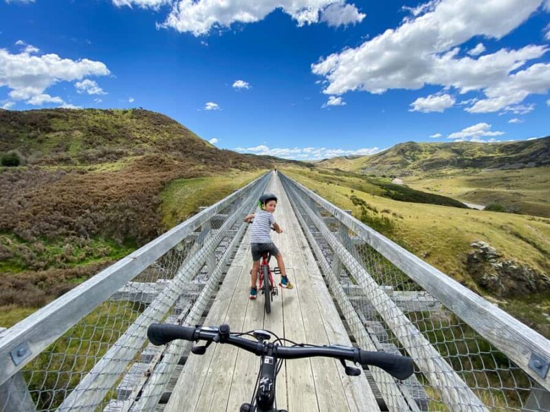 Dunedin: Scenic Railway Tour Through the Taieri Gorge - The Sum Up