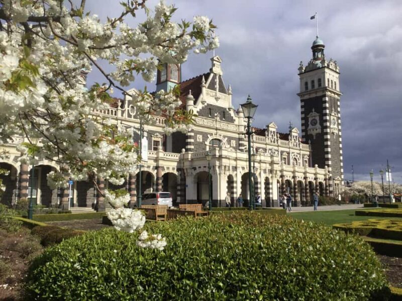 Dunedin: Small Group City Highlights Tour - An Authentic Introduction to Dunedin