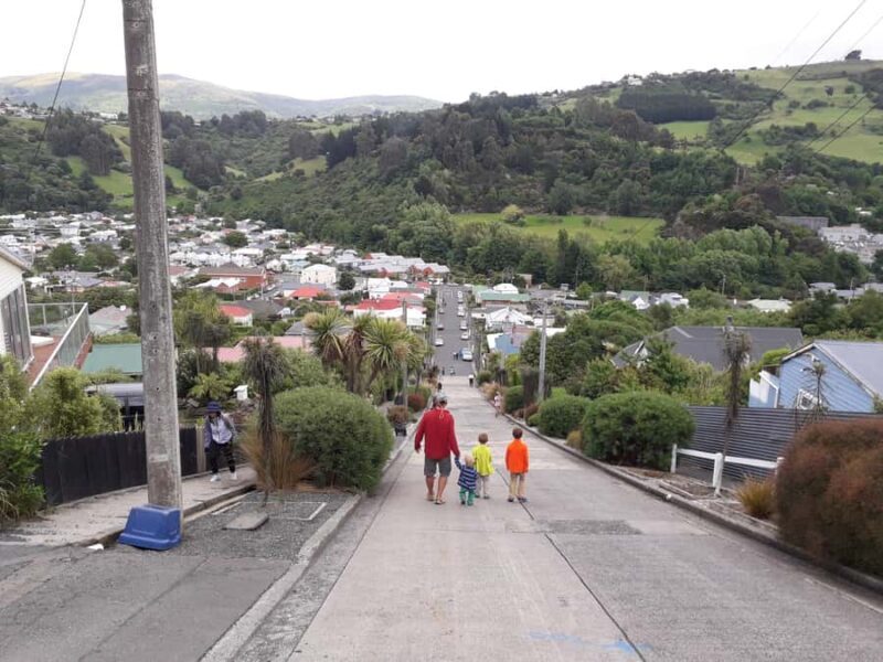 Dunedin: Small Group City Highlights Tour - Transportation and Group Size