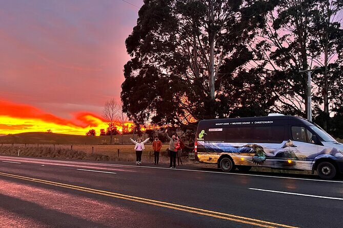 Dunedin to Invercargill via the Catlins 1 Way Small Group Tour - The Value of the Experience
