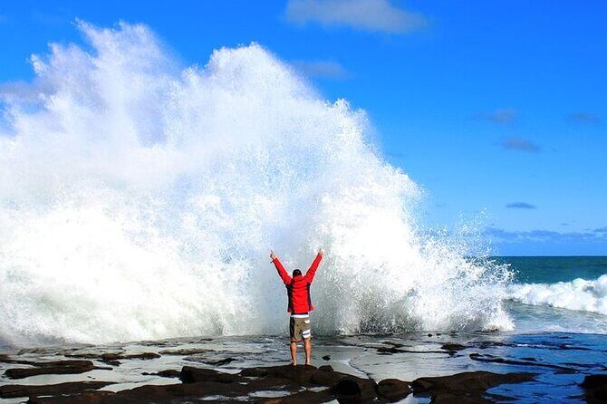 Dunedin to Te Anau via the Catlins One Way Small Group Tour - Key Points