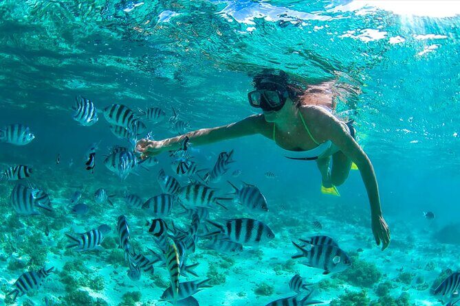 Dunes Snorkeling Tour Outside Santo Domingo - Exploring the Day Step-by-Step