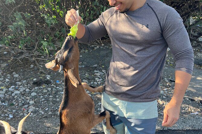 Dunes Snorkeling Tour Outside Santo Domingo - Final Thoughts