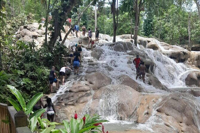 Dunn River Falls and Bamboo River Rafting in Ocho Rios Jamaica. - Authentic Perspectives from Travelers
