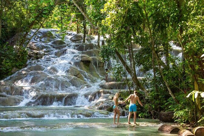 Dunns River and Blue hole tour from Montego Bay - Key Points