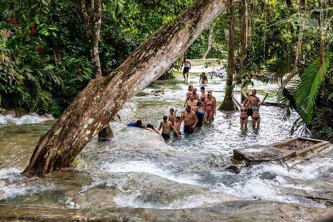 Dunns River & Blue Hole Day Trip with Lunch - The Sum Up: Who Will Love This Tour?