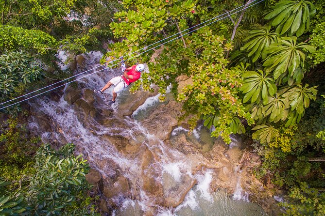 Dunns River Climb and Zipline Over The Falls - Highlights of the Experience