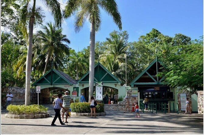 Dunn's River Fall's - Final Thoughts