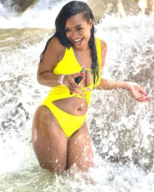 Dunns River Falls and Dolphin Cove Swim Adventure - What Some Travelers Say