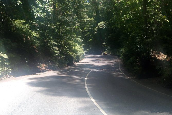 Dunn's River Falls and Fern Gully Highlight Adventure Tour from Kingston - FAQ