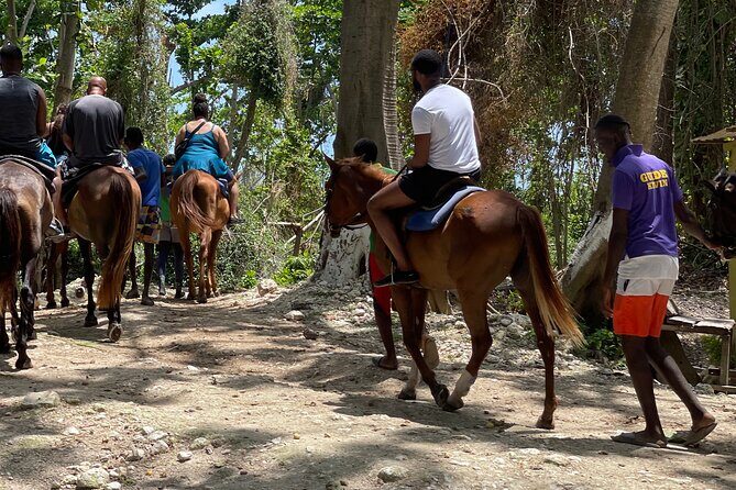 Dunns River Falls and horseback riding activity - FAQs