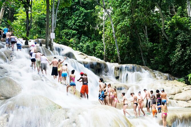 Dunns River Falls and Horseback Riding Tour From Montego Bay - Whats Included in the Tour