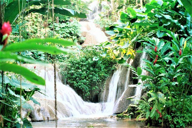 Dunn's River Falls and Ocho Rios Shopping Tour from Montego Bay Hotels - Practical Tips for the Tour