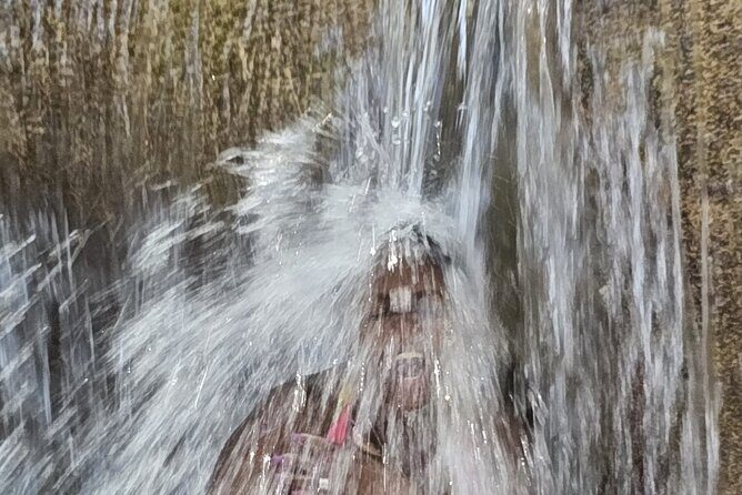 Dunn's River Falls and Ocho Rios Sightseeing with Shopping - The Sum Up