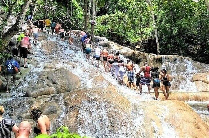 Dunn's River Falls and River Tubing from Falmouth - Who Should Consider This Tour?