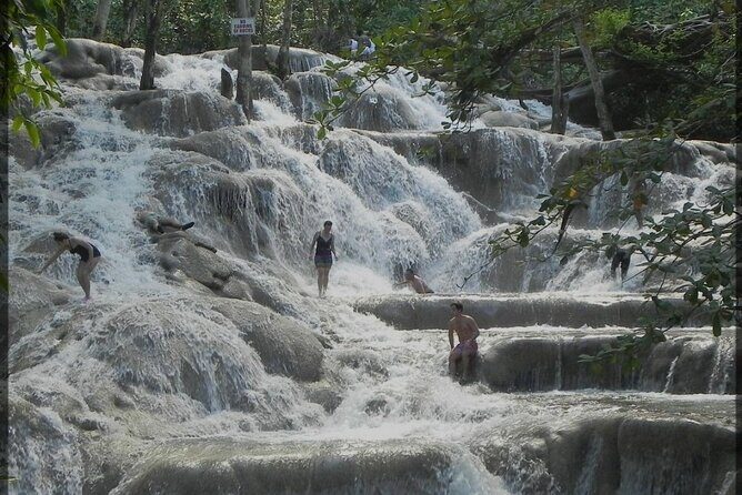 Dunns River Falls and Zipline Adventure from Kingston - Introduction to the Experience