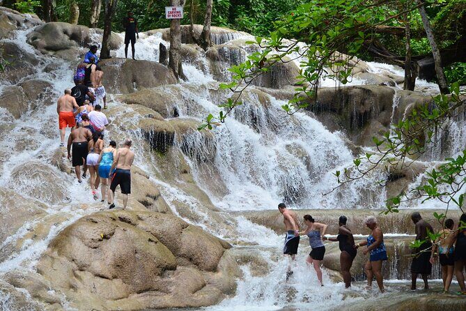 Dunns River Falls and Zipline Adventure from Ocho Ríos - Key Points