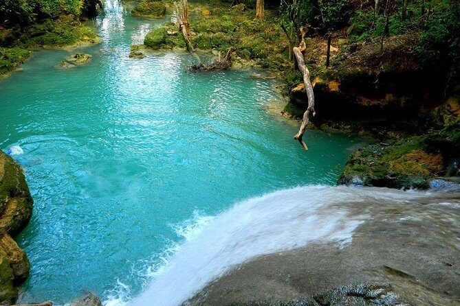 Dunn's River Falls & Blue Hole Combo Tour from Ocho Rios - What the Reviews Say