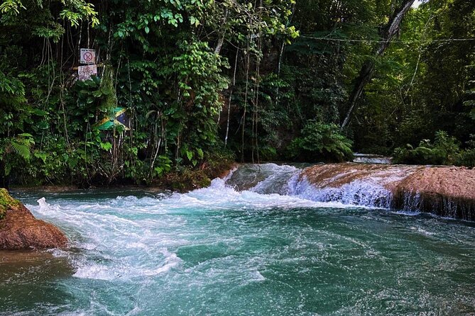 Dunns River Falls & Blue Hole Private COMBO Tour From Montego Bay - Inclusions