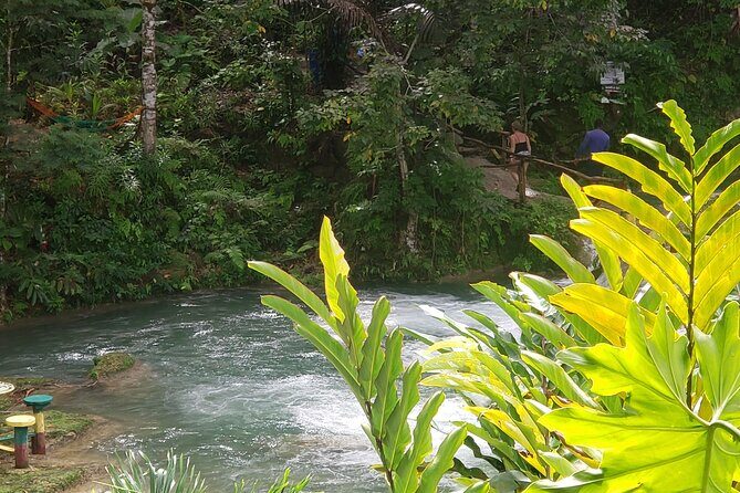 Dunn's River Falls & Blue Hole Tour from Montego Bay - Authenticity and Local Flavor