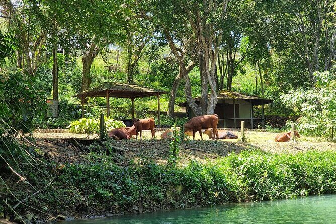 Dunn's River Falls Climb and Martha Brae Rafting {Entry Included} - Wrapping Up