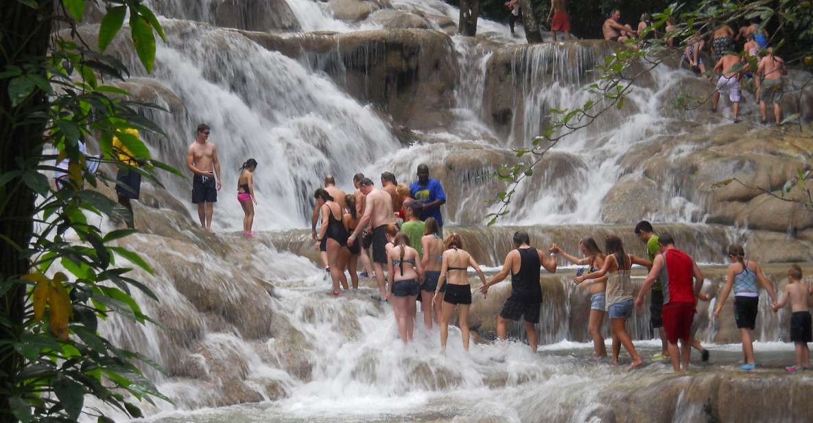 Dunns River Falls Climb and Private Transportation - Activity Details and Highlights