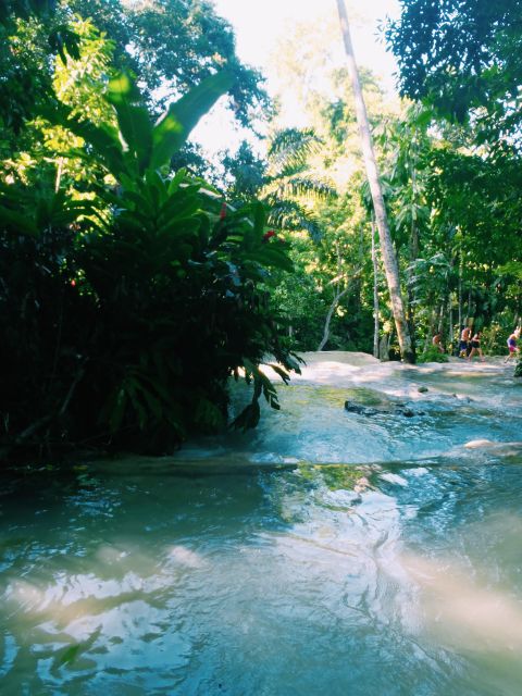 Dunns River Falls Climb and Private Transportation - Hotel and Cruise Ship Pickup