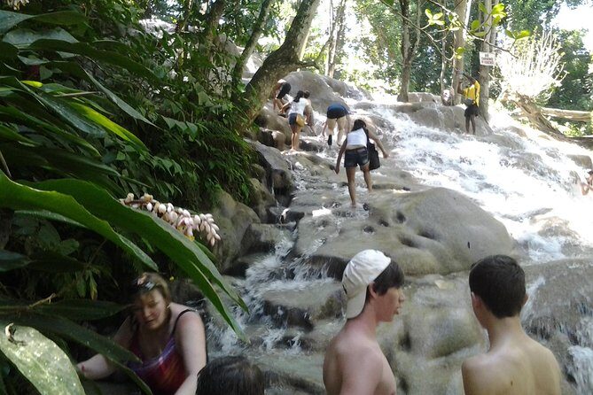 Dunn's River Falls excursion from Montego Bay - Authentic Traveler Perspectives