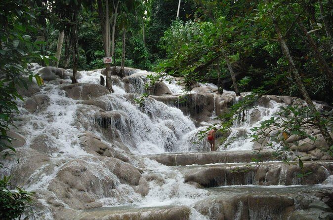 Dunns River Falls from Ocho Rios - Detailed Review of the Dunns River Falls Tour