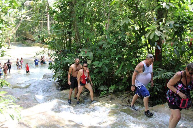 Dunns River Falls Half Day Private Tour Including Entry Fee. - Key Points