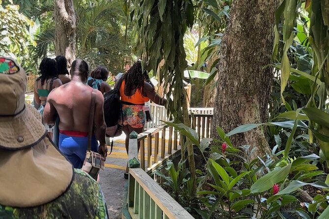 Dunn's River Falls & Island Village, Private Tour from Kingston - FAQ about the Tour