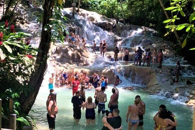 Dunn's River Falls & Jungle River Tubing Adventure Tour from Runaway Bay - Key Points