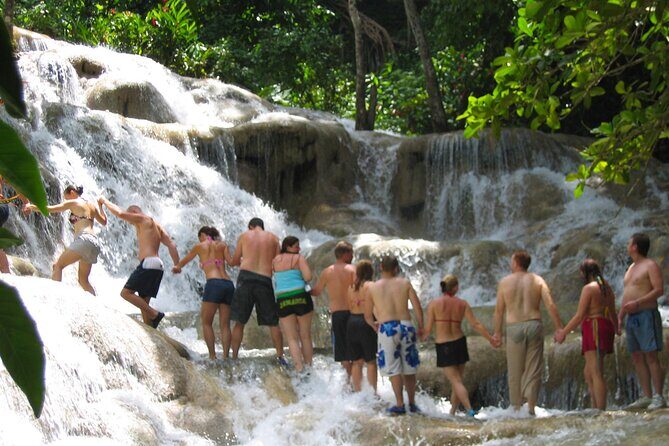 Dunn's River Falls & Luminous Lagoon Guided Tour from Montego Bay - The Itinerary: What to Expect