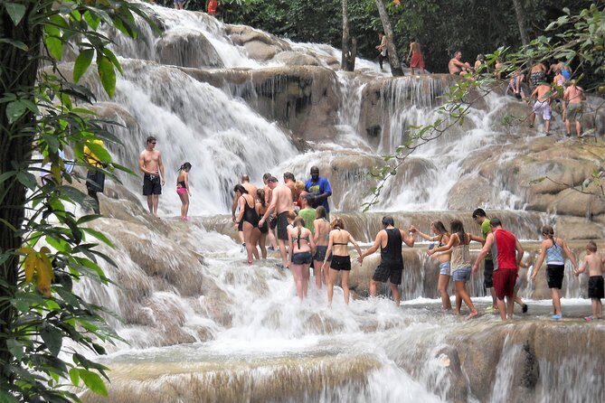 Dunn's River Falls & Luminous Lagoon Guided Tour with Admission from Falmouth - Analyzing the Value