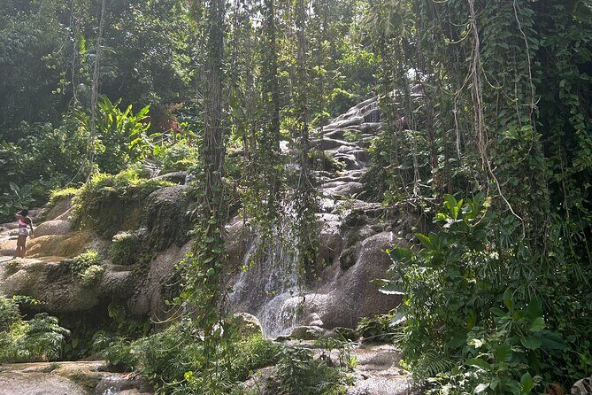 Dunns River Falls Mahogany Beach and Hilltop Lookout Tour - A Closer Look at the Itinerary