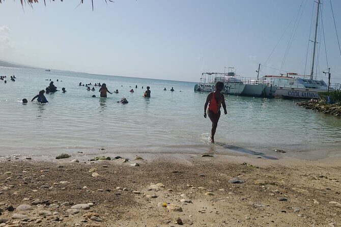 Dunns River Falls Mahogany Beach and Hilltop Lookout Tour - Who Should Consider This Tour?