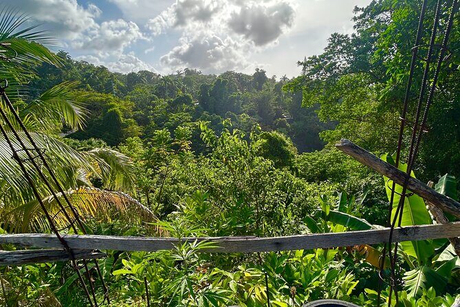 Dunns River Falls Mahogany Beach and Hilltop Lookout Tour - FAQ